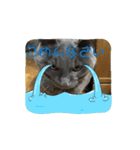 よくつかえるねこ！（個別スタンプ：3）