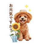 トイプードルの夏のご挨拶（個別スタンプ：3）