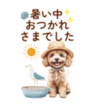 トイプードルの夏のご挨拶（個別スタンプ：6）