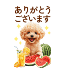 トイプードルの夏のご挨拶（個別スタンプ：8）