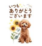 トイプードルの夏のご挨拶（個別スタンプ：9）