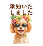 トイプードルの夏のご挨拶（個別スタンプ：11）