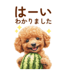 トイプードルの夏のご挨拶（個別スタンプ：13）