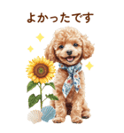 トイプードルの夏のご挨拶（個別スタンプ：15）