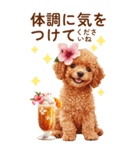 トイプードルの夏のご挨拶（個別スタンプ：18）