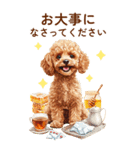 トイプードルの夏のご挨拶（個別スタンプ：19）
