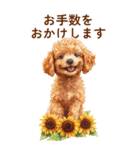 トイプードルの夏のご挨拶（個別スタンプ：20）