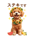 トイプードルの夏のご挨拶（個別スタンプ：21）