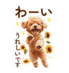 トイプードルの夏のご挨拶（個別スタンプ：22）
