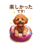 トイプードルの夏のご挨拶（個別スタンプ：24）