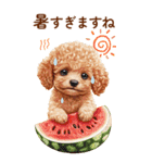 トイプードルの夏のご挨拶（個別スタンプ：28）