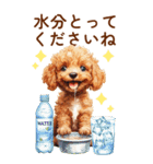 トイプードルの夏のご挨拶（個別スタンプ：29）