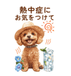 トイプードルの夏のご挨拶（個別スタンプ：30）