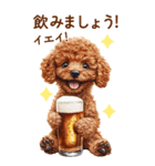 トイプードルの夏のご挨拶（個別スタンプ：31）
