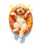 トイプードルの夏のご挨拶（個別スタンプ：35）