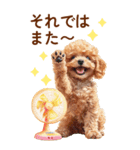 トイプードルの夏のご挨拶（個別スタンプ：40）