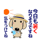 優しい気づかい ダックスフンド-犬好き 夏（個別スタンプ：1）