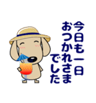 優しい気づかい ダックスフンド-犬好き 夏（個別スタンプ：3）