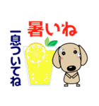 優しい気づかい ダックスフンド-犬好き 夏（個別スタンプ：6）