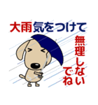 優しい気づかい ダックスフンド-犬好き 夏（個別スタンプ：7）