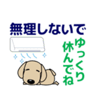 優しい気づかい ダックスフンド-犬好き 夏（個別スタンプ：8）