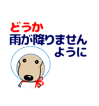 優しい気づかい ダックスフンド-犬好き 夏（個別スタンプ：10）