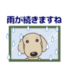 優しい気づかい ダックスフンド-犬好き 夏（個別スタンプ：11）