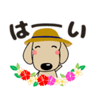 優しい気づかい ダックスフンド-犬好き 夏（個別スタンプ：13）