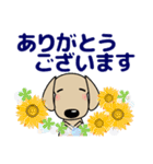 優しい気づかい ダックスフンド-犬好き 夏（個別スタンプ：15）