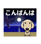 優しい気づかい ダックスフンド-犬好き 夏（個別スタンプ：21）