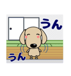 優しい気づかい ダックスフンド-犬好き 夏（個別スタンプ：22）