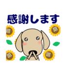 優しい気づかい ダックスフンド-犬好き 夏（個別スタンプ：25）