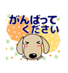 優しい気づかい ダックスフンド-犬好き 夏（個別スタンプ：28）
