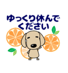 優しい気づかい ダックスフンド-犬好き 夏（個別スタンプ：30）