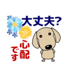 優しい気づかい ダックスフンド-犬好き 夏（個別スタンプ：31）