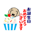 優しい気づかい ダックスフンド-犬好き 夏（個別スタンプ：37）