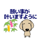 優しい気づかい ダックスフンド-犬好き 夏（個別スタンプ：38）