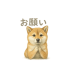 お願いだよ～動物たち必死です！（個別スタンプ：1）