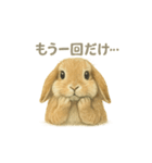 お願いだよ～動物たち必死です！（個別スタンプ：3）