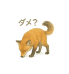 お願いだよ～動物たち必死です！（個別スタンプ：6）