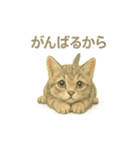 お願いだよ～動物たち必死です！（個別スタンプ：8）