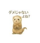 お願いだよ～動物たち必死です！（個別スタンプ：9）
