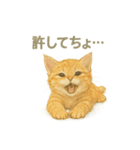 お願いだよ～動物たち必死です！（個別スタンプ：11）