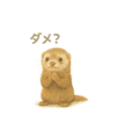 お願いだよ～動物たち必死です！（個別スタンプ：13）