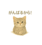 お願いだよ～動物たち必死です！（個別スタンプ：15）