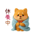 柴ブー（Shiboo）（個別スタンプ：19）