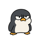 怒りん坊ペンギンの気分爆発（個別スタンプ：1）