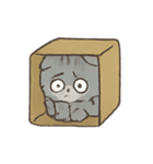 コミュ障ネコの生存反応集（個別スタンプ：16）