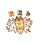 ねここさん26 クリスマス＆年末年始_再販（個別スタンプ：11）