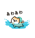 柴犬たけちよの夏休み（個別スタンプ：14）
